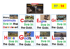 B54-Gobi Desert Animals (Print A3)